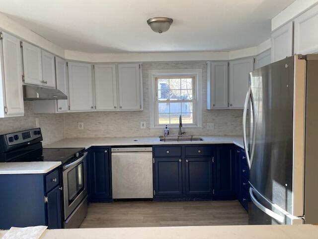 kitchen featuring sink, blue cabinets, light hardwood / wood-style floors, and appliances with stainless steel finishes