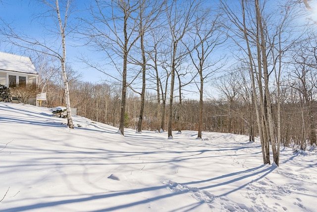 view of snowy yard