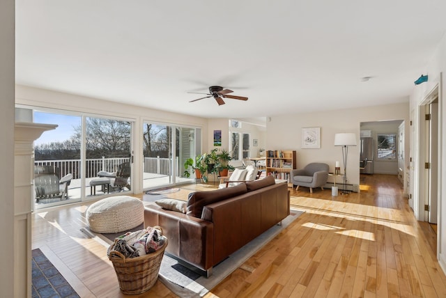 living room featuring ceiling fan and light wood-type flooring