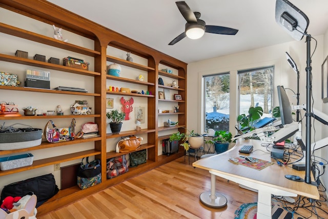 office with ceiling fan and light hardwood / wood-style flooring