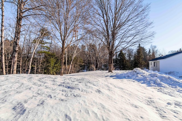 view of yard layered in snow