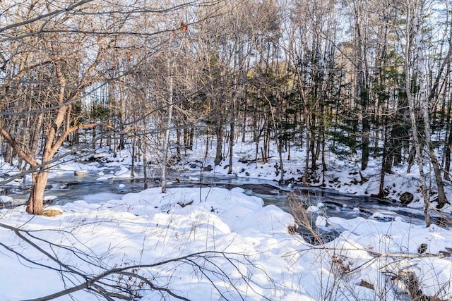 view of snowy landscape