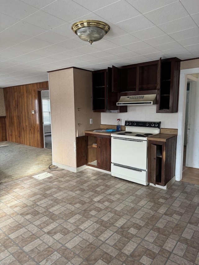 kitchen with electric range and wooden walls