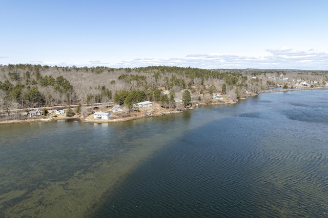 283 Mills Rd, Newcastle, ME 04553 - bird's eye view with a water view and a view of trees