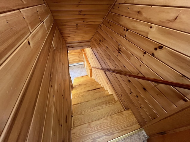 stairway featuring hardwood / wood-style flooring and wooden walls