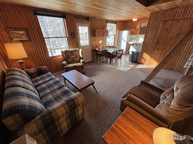 carpeted living room featuring plenty of natural light, wood walls, and wooden ceiling