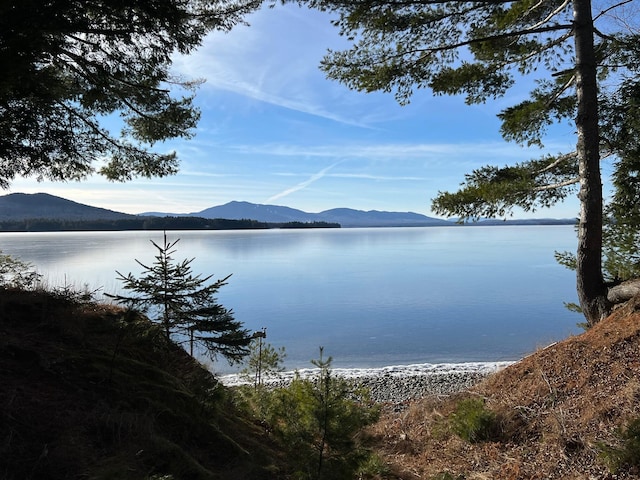 water view featuring a mountain view