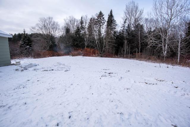 view of yard layered in snow