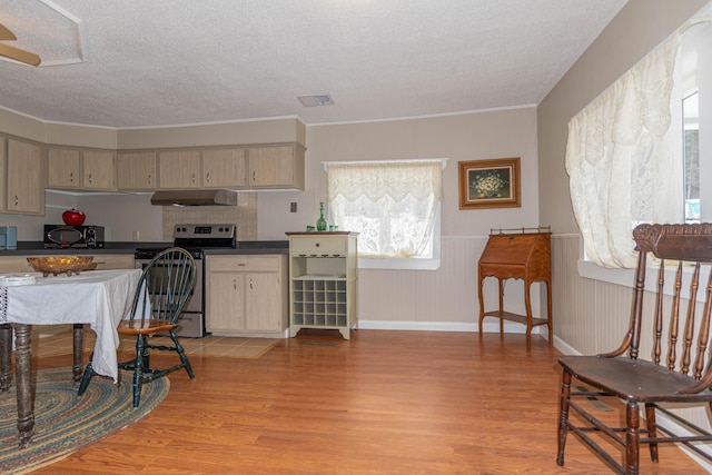 kitchen featuring electric range, light hardwood / wood-style floors, a textured ceiling, and ventilation hood