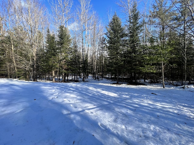 view of yard covered in snow