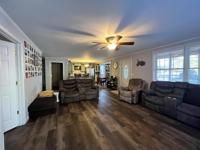 living room with ornamental molding, ceiling fan, and dark wood-type flooring