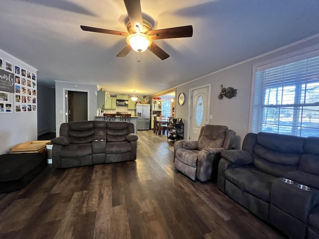701 Stetson Rd, Exeter, ME 04435 - living room with ceiling fan, dark wood-type flooring, and ornamental molding
