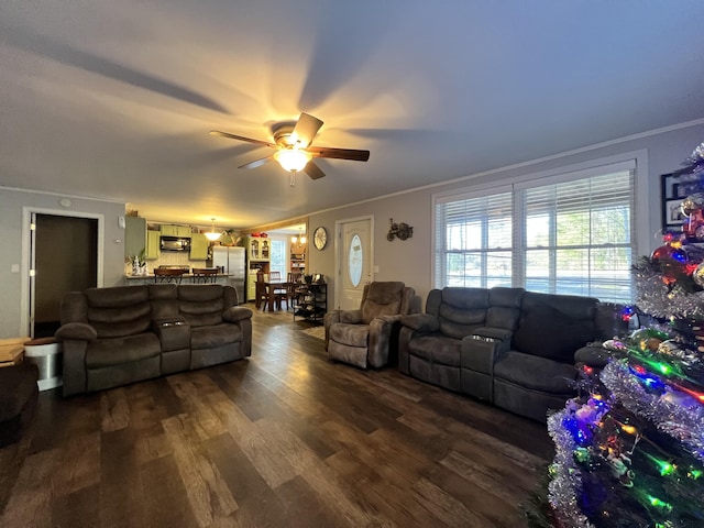 living room with dark hardwood / wood-style floors, ceiling fan, and crown molding