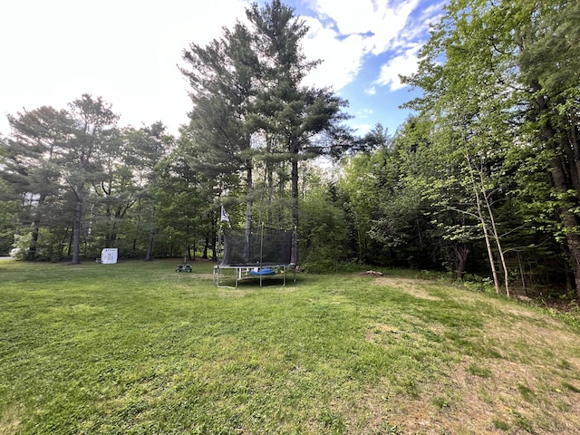 701 Stetson Rd, Exeter, ME 04435 - view of grassy yard featuring a trampoline