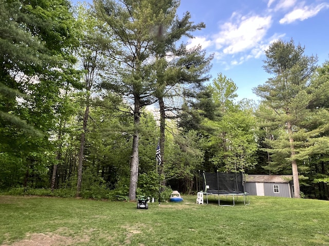 701 Stetson Rd, Exeter, ME 04435 - view of grassy yard featuring a trampoline