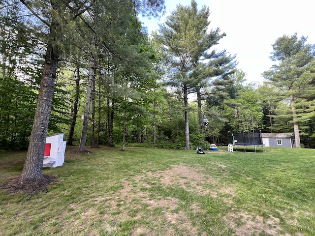 701 Stetson Rd, Exeter, ME 04435 - view of grassy yard featuring a trampoline