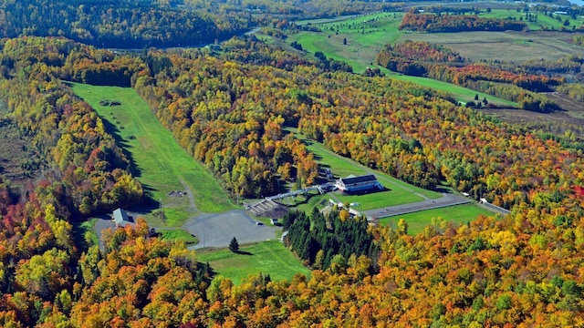 450 Fort Fairfield Rd, Presque Isle, ME 04769 - aerial overview of property's location with a heavily wooded area