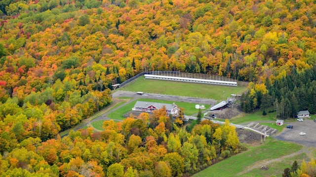 450 Fort Fairfield Rd, Presque Isle, ME 04769 - aerial view of a forest