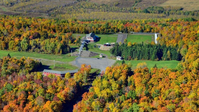 450 Fort Fairfield Rd, Presque Isle, ME 04769 - aerial view of property's location featuring a forest and rural landscape