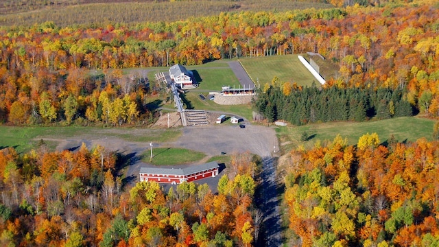 450 Fort Fairfield Rd, Presque Isle, ME 04769 - view from above of property with a forest