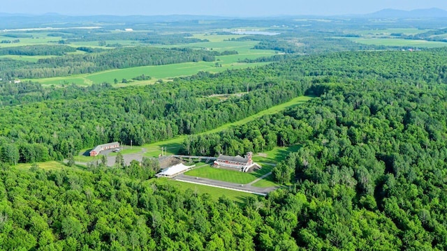 aerial view with a mountain view