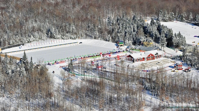 450 Fort Fairfield Rd, Presque Isle, ME 04769 - snowy aerial view with a view of trees