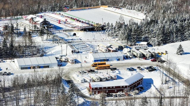 450 Fort Fairfield Rd, Presque Isle, ME 04769 - view of snowy aerial view