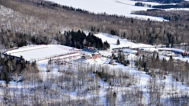 450 Fort Fairfield Rd, Presque Isle, ME 04769 - snowy aerial view with a wooded view