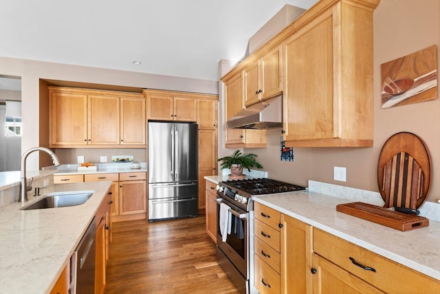 kitchen with appliances with stainless steel finishes, dark hardwood / wood-style flooring, light stone countertops, and sink