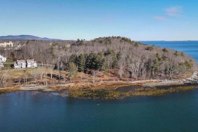 birds eye view of property featuring a water and mountain view