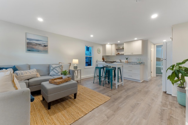 living room featuring light hardwood / wood-style floors and sink