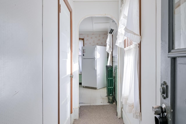 corridor featuring radiator heating unit and carpet floors