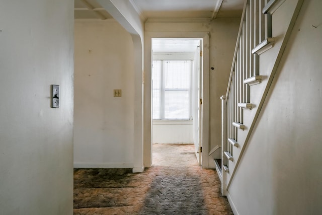 hallway featuring crown molding and dark carpet