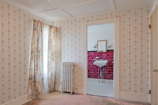 spare room featuring radiator heating unit and sink