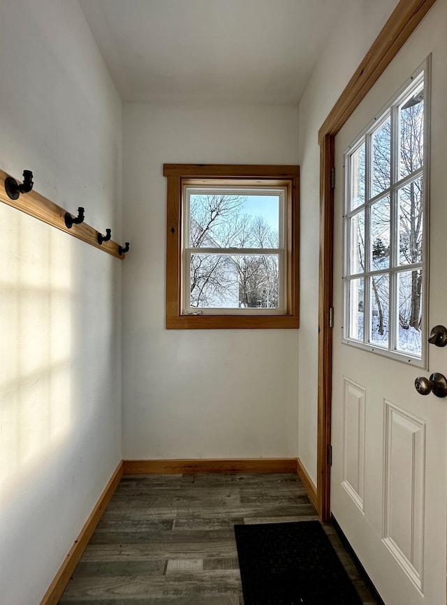 entryway with dark wood-type flooring