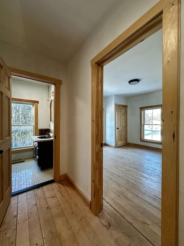 corridor featuring light hardwood / wood-style floors and plenty of natural light