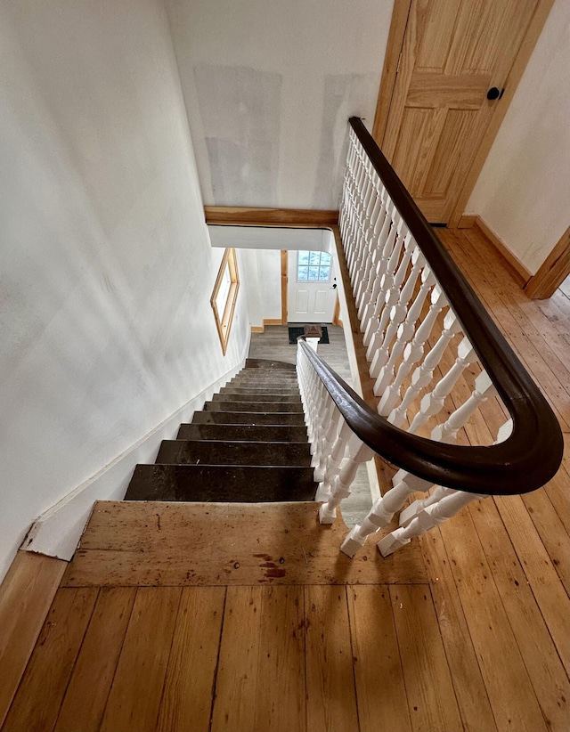 staircase with wood-type flooring