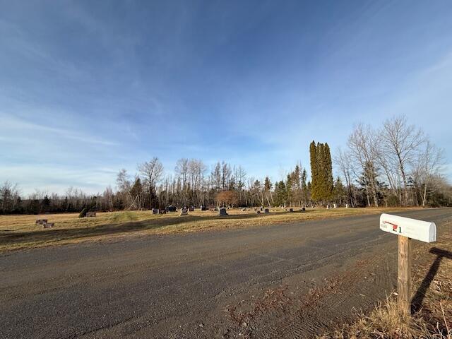 view of street with a rural view