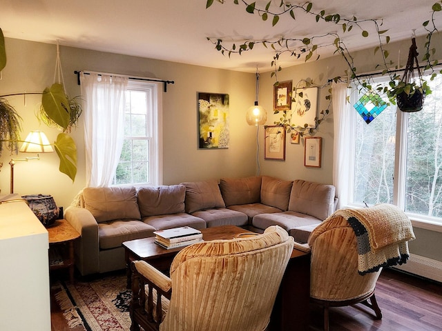 living room with wood-type flooring