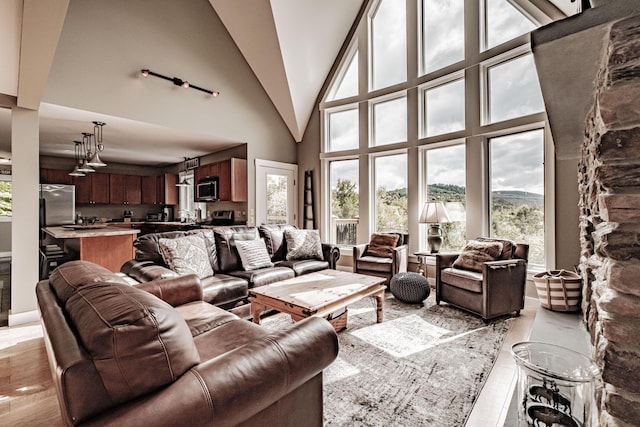 living room featuring a towering ceiling