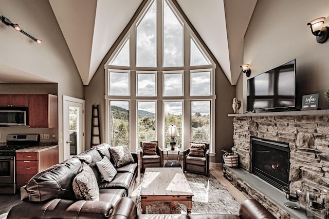 living room featuring a fireplace and high vaulted ceiling