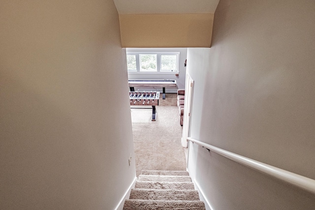 staircase featuring carpet floors