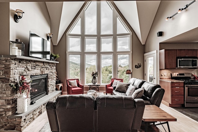 living room featuring hardwood / wood-style flooring, a stone fireplace, and high vaulted ceiling