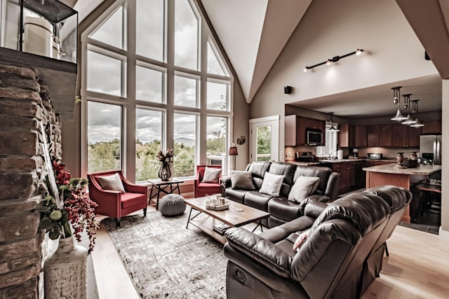 living room featuring light hardwood / wood-style floors, sink, and a high ceiling