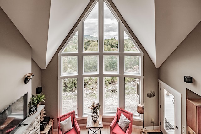 living room featuring a high ceiling