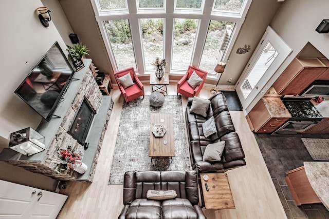 interior space featuring hardwood / wood-style floors and a stone fireplace