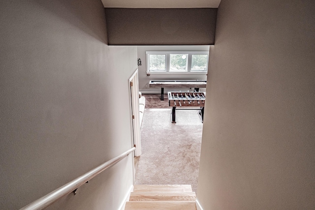 staircase featuring carpet floors