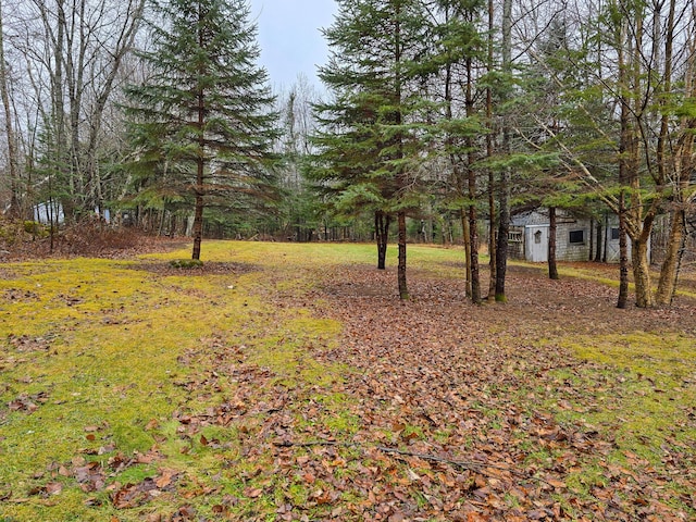 view of yard featuring an outbuilding