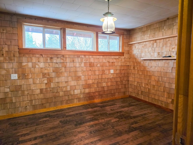 basement featuring dark hardwood / wood-style flooring