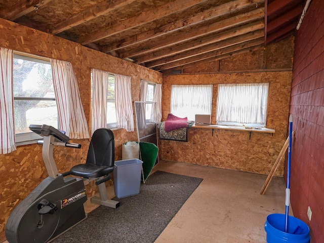 miscellaneous room with vaulted ceiling